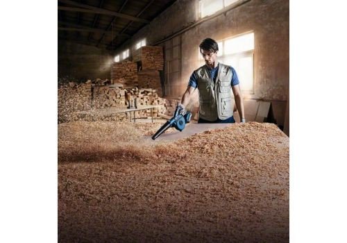 Bosch GBL 18V-120 Solo Profesional baterinis pūstuvas